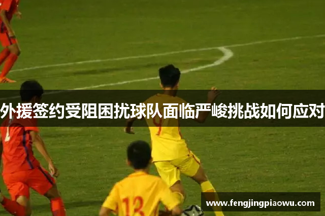 外援签约受阻困扰球队面临严峻挑战如何应对