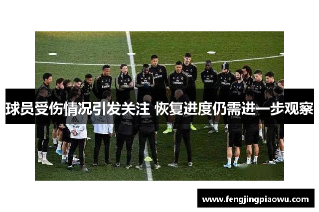 球员受伤情况引发关注 恢复进度仍需进一步观察