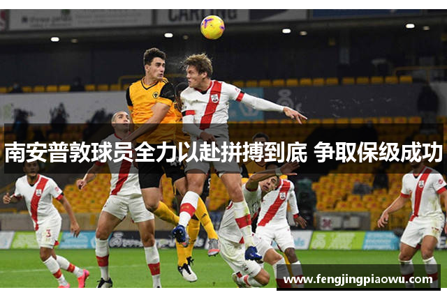 南安普敦球员全力以赴拼搏到底 争取保级成功
