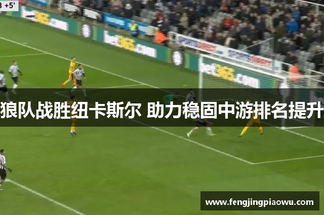 狼队战胜纽卡斯尔 助力稳固中游排名提升