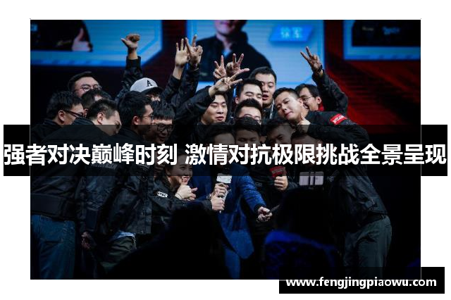 强者对决巅峰时刻 激情对抗极限挑战全景呈现