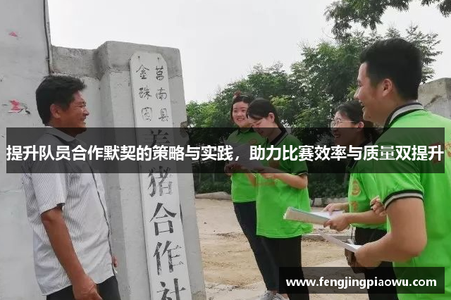 提升队员合作默契的策略与实践，助力比赛效率与质量双提升