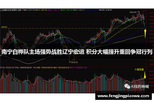 南宁白桦队主场强势战胜辽宁宏运 积分大幅提升重回争冠行列