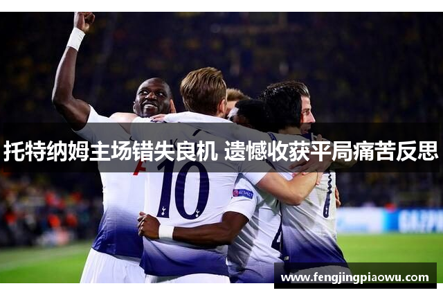 托特纳姆主场错失良机 遗憾收获平局痛苦反思