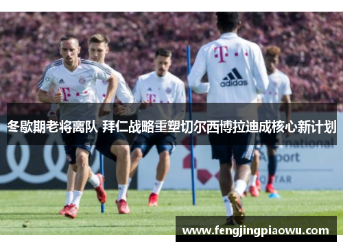冬歇期老将离队 拜仁战略重塑切尔西博拉迪成核心新计划