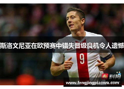 斯洛文尼亚在欧预赛中错失晋级良机令人遗憾