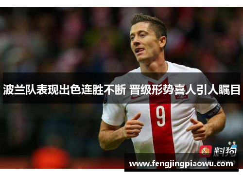 波兰队表现出色连胜不断 晋级形势喜人引人瞩目