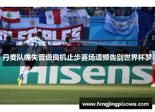 丹麦队痛失晋级良机止步赛场遗憾告别世界杯梦