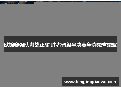 欧锦赛强队激战正酣 胜者晋级半决赛争夺荣誉荣耀