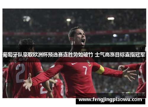 葡萄牙队豪取欧洲杯预选赛连胜势如破竹 士气高涨目标直指冠军