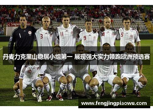 丹麦力克黑山稳居小组第一 展现强大实力领跑欧洲预选赛