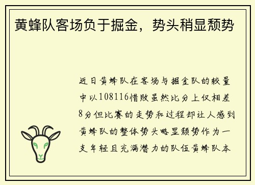 黄蜂队客场负于掘金，势头稍显颓势