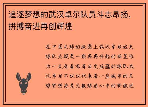 追逐梦想的武汉卓尔队员斗志昂扬，拼搏奋进再创辉煌
